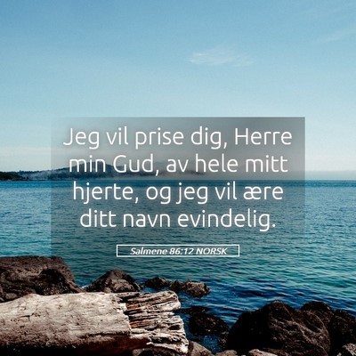 Picture 05 - Salmene 86:12 NORSK - Jeg vil prise dig, Herre min Gud, av hele mitt - Bible Verse Picture