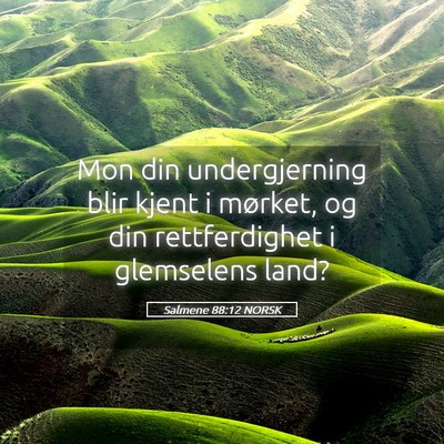 Picture 05 - Salmene 88:12 NORSK - Mon din undergjerning blir kjent i mørket, og - Bible Verse Picture