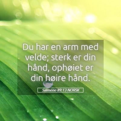 Picture 05 - Salmene 89:13 NORSK - Du har en arm med velde; sterk er din hånd, - Bible Verse Picture