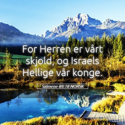 Picture 05 - Salmene 89:18 NORSK - For Herren er vårt skjold, og Israels Hellige - Bible Verse Picture