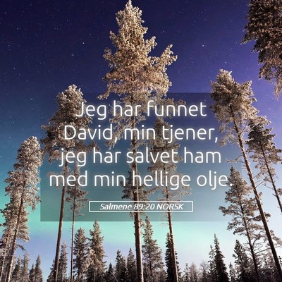 Picture 05 - Salmene 89:20 NORSK - Jeg har funnet David, min tjener, jeg har salvet - Bible Verse Picture