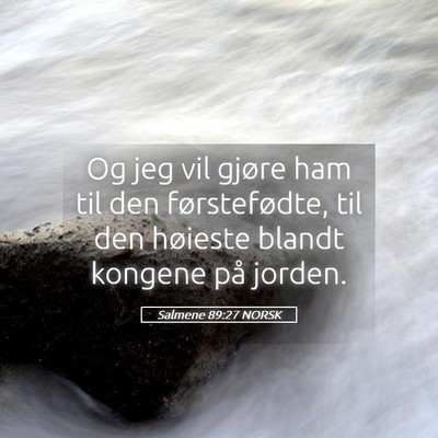 Picture 05 - Salmene 89:27 NORSK - Og jeg vil gjøre ham til den førstefødte, til - Bible Verse Picture