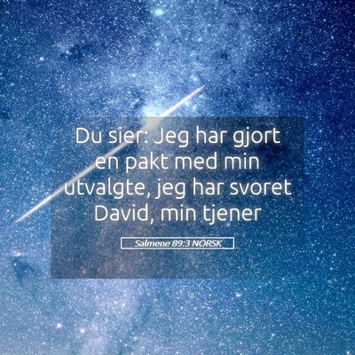 Picture 05 - Salmene 89:3 NORSK - Du sier: Jeg har gjort en pakt med min utvalgte, - Bible Verse Picture