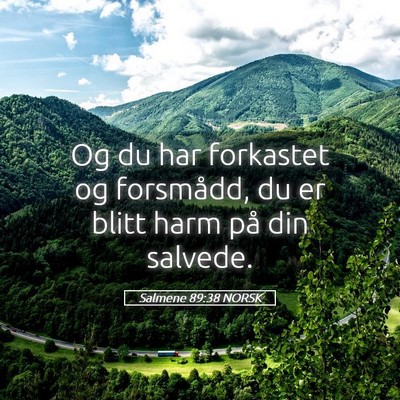 Picture 05 - Salmene 89:38 NORSK - Og du har forkastet og forsmådd, du er blitt - Bible Verse Picture