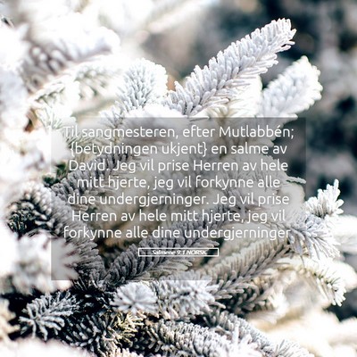 Picture 05 - Salmene 9:1 NORSK - Til sangmesteren, efter Mutlabbén; {betydningen - Bible Verse Picture