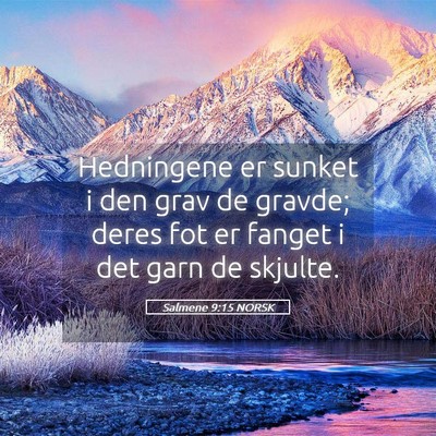 Picture 05 - Salmene 9:15 NORSK - Hedningene er sunket i den grav de gravde; deres - Bible Verse Picture