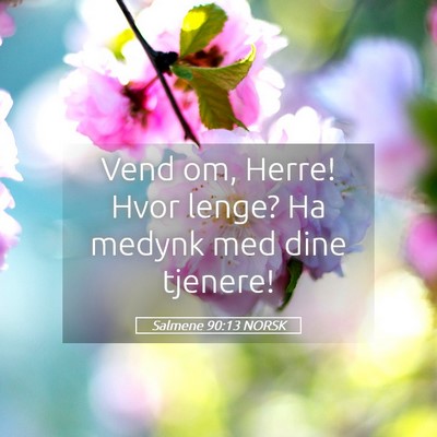 Picture 05 - Salmene 90:13 NORSK - Vend om, Herre! Hvor lenge? Ha medynk med dine - Bible Verse Picture