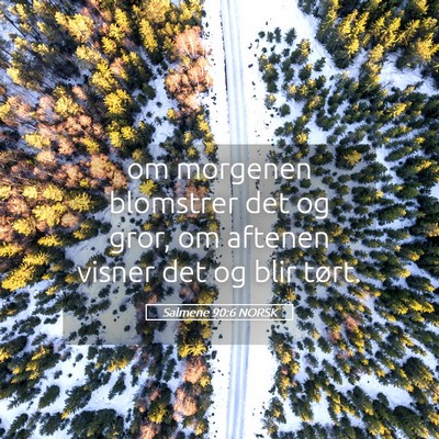 Picture 05 - Salmene 90:6 NORSK - om morgenen blomstrer det og gror, om aftenen - Bible Verse Picture