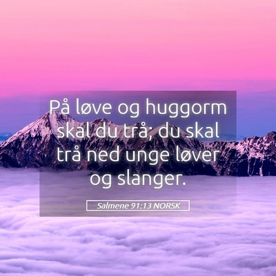 Picture 05 - Salmene 91:13 NORSK - På løve og huggorm skal du trå; du skal trå - Bible Verse Picture