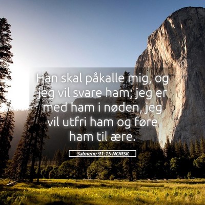 Picture 05 - Salmene 91:15 NORSK - Han skal påkalle mig, og jeg vil svare ham; jeg - Bible Verse Picture