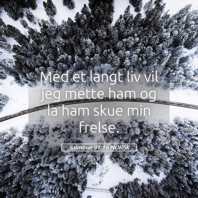 Picture 05 - Salmene 91:16 NORSK - Med et langt liv vil jeg mette ham og la ham skue - Bible Verse Picture