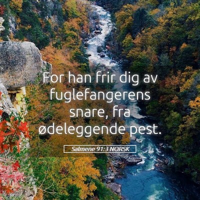 Picture 05 - Salmene 91:3 NORSK - For han frir dig av fuglefangerens snare, fra - Bible Verse Picture