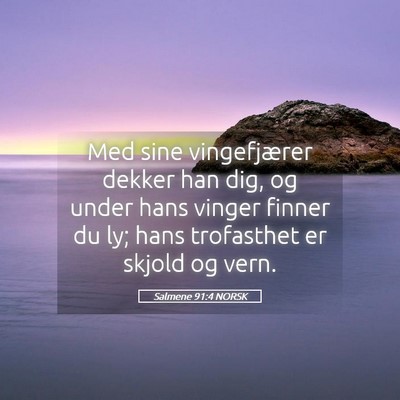Picture 05 - Salmene 91:4 NORSK - Med sine vingefjærer dekker han dig, og under - Bible Verse Picture