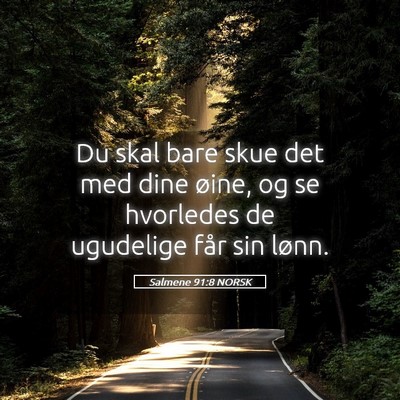Picture 05 - Salmene 91:8 NORSK - Du skal bare skue det med dine øine, og se - Bible Verse Picture