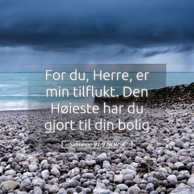 Picture 05 - Salmene 91:9 NORSK - For du, Herre, er min tilflukt. Den Høieste har - Bible Verse Picture