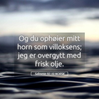 Picture 05 - Salmene 92:10 NORSK - Og du ophøier mitt horn som villoksens; jeg er - Bible Verse Picture