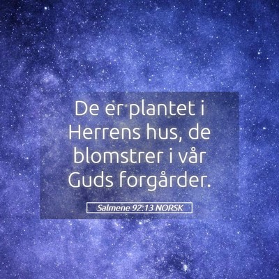 Picture 05 - Salmene 92:13 NORSK - De er plantet i Herrens hus, de blomstrer i vår - Bible Verse Picture