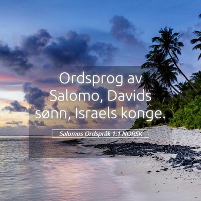 Picture 05 - Salomos Ordspråk 1:1 NORSK - Ordsprog av Salomo, Davids sønn, Israels - Bible Verse Picture