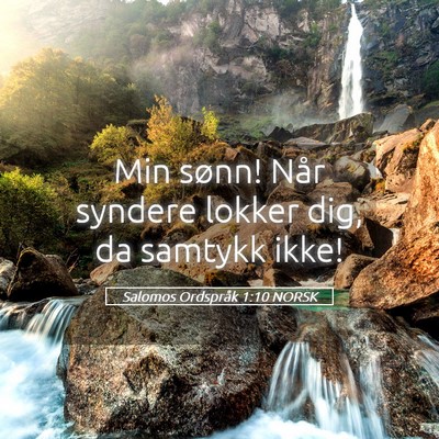 Picture 05 - Salomos Ordspråk 1:10 NORSK - Min sønn! Når syndere lokker dig, da samtykk - Bible Verse Picture