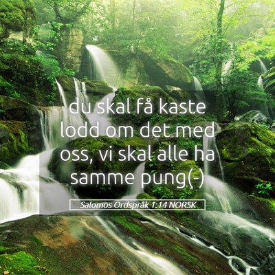 Picture 05 - Salomos Ordspråk 1:14 NORSK - du skal få kaste lodd om det med oss, vi skal - Bible Verse Picture