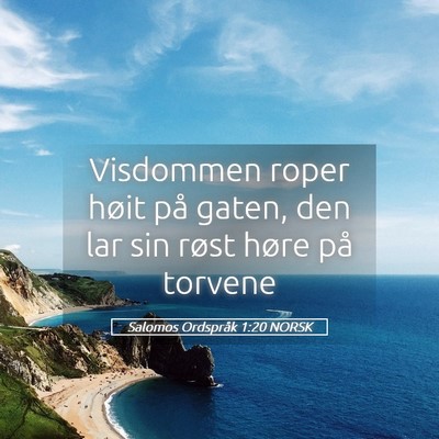 Picture 05 - Salomos Ordspråk 1:20 NORSK - Visdommen roper høit på gaten, den lar sin - Bible Verse Picture