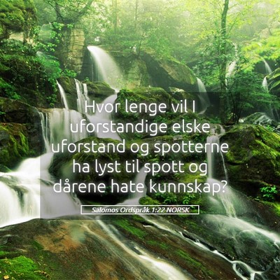 Picture 05 - Salomos Ordspråk 1:22 NORSK - Hvor lenge vil I uforstandige elske uforstand og - Bible Verse Picture