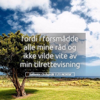 Picture 05 - Salomos Ordspråk 1:25 NORSK - fordi I forsmådde alle mine råd og ikke vilde - Bible Verse Picture