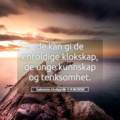 Picture 05 - Salomos Ordspråk 1:4 NORSK - de kan gi de enfoldige klokskap, de unge kunnskap - Bible Verse Picture