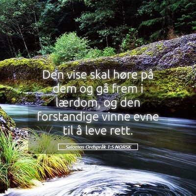 Picture 05 - Salomos Ordspråk 1:5 NORSK - Den vise skal høre på dem og gå frem i - Bible Verse Picture