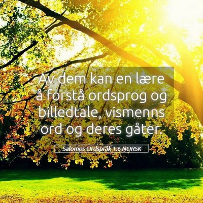 Picture 05 - Salomos Ordspråk 1:6 NORSK - Av dem kan en lære å forstå ordsprog og - Bible Verse Picture