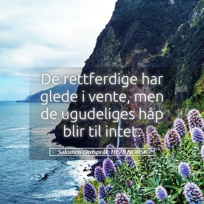 Picture 05 - Salomos Ordspråk 10:28 NORSK - De rettferdige har glede i vente, men de - Bible Verse Picture