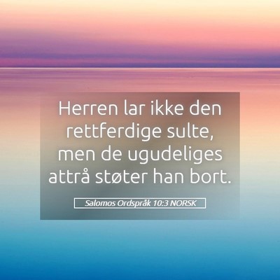 Picture 05 - Salomos Ordspråk 10:3 NORSK - Herren lar ikke den rettferdige sulte, men de - Bible Verse Picture
