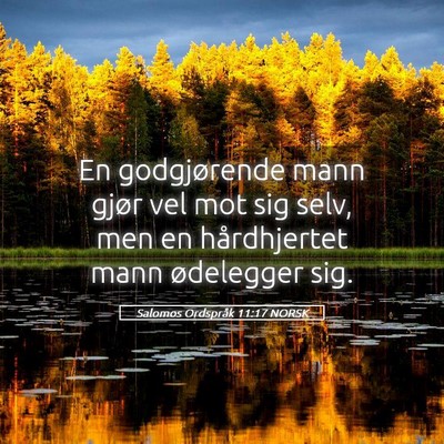 Picture 05 - Salomos Ordspråk 11:17 NORSK - En godgjørende mann gjør vel mot sig selv, men - Bible Verse Picture