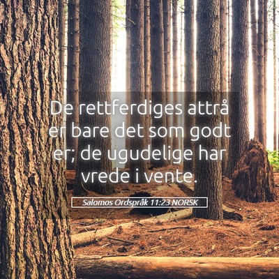 Picture 05 - Salomos Ordspråk 11:23 NORSK - De rettferdiges attrå er bare det som godt er; - Bible Verse Picture