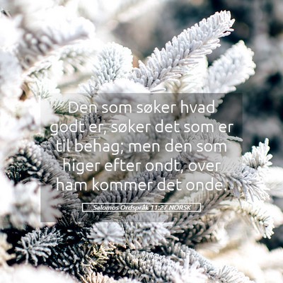 Picture 05 - Salomos Ordspråk 11:27 NORSK - Den som søker hvad godt er, søker det som er - Bible Verse Picture