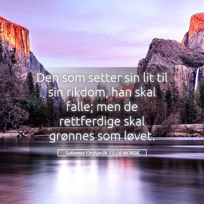 Picture 05 - Salomos Ordspråk 11:28 NORSK - Den som setter sin lit til sin rikdom, han skal - Bible Verse Picture