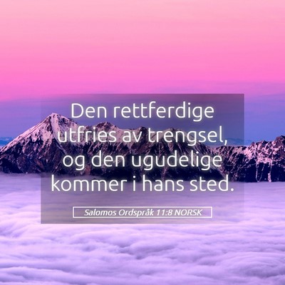 Picture 05 - Salomos Ordspråk 11:8 NORSK - Den rettferdige utfries av trengsel, og den - Bible Verse Picture
