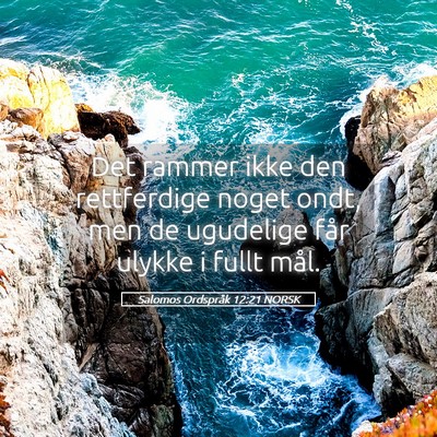 Picture 05 - Salomos Ordspråk 12:21 NORSK - Det rammer ikke den rettferdige noget ondt, men - Bible Verse Picture