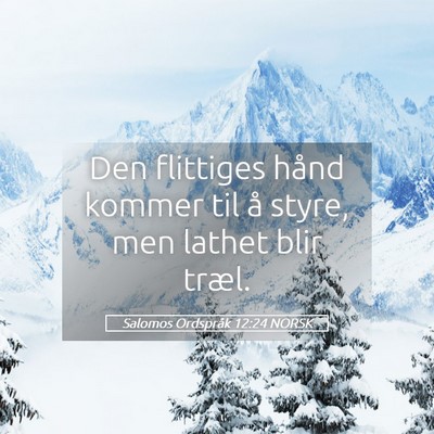 Picture 05 - Salomos Ordspråk 12:24 NORSK - Den flittiges hånd kommer til å styre, men - Bible Verse Picture