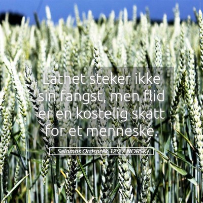 Picture 05 - Salomos Ordspråk 12:27 NORSK - Lathet steker ikke sin fangst, men flid er en - Bible Verse Picture