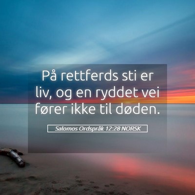 Picture 05 - Salomos Ordspråk 12:28 NORSK - På rettferds sti er liv, og en ryddet vei fører - Bible Verse Picture