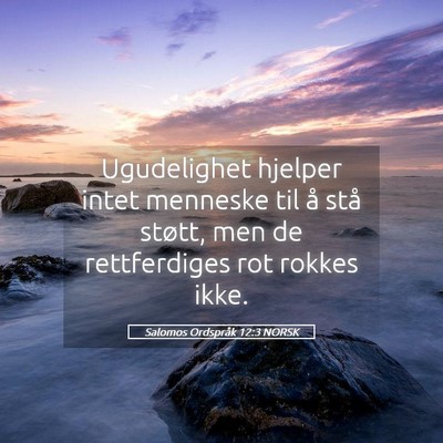 Picture 05 - Salomos Ordspråk 12:3 NORSK - Ugudelighet hjelper intet menneske til å stå - Bible Verse Picture