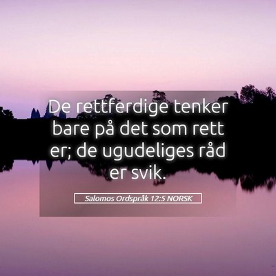 Picture 05 - Salomos Ordspråk 12:5 NORSK - De rettferdige tenker bare på det som rett er; - Bible Verse Picture