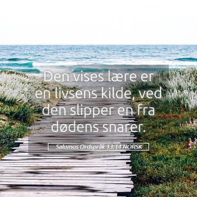 Picture 05 - Salomos Ordspråk 13:14 NORSK - Den vises lære er en livsens kilde, ved den - Bible Verse Picture