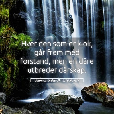 Picture 05 - Salomos Ordspråk 13:16 NORSK - Hver den som er klok, går frem med forstand, men - Bible Verse Picture
