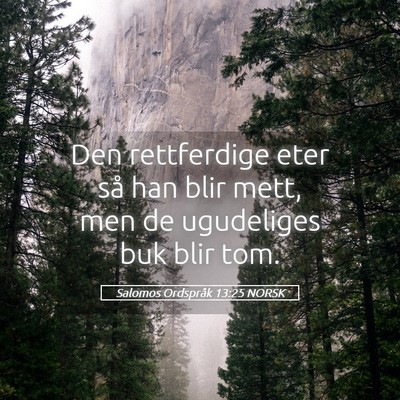 Picture 05 - Salomos Ordspråk 13:25 NORSK - Den rettferdige eter så han blir mett, men de - Bible Verse Picture