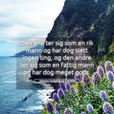 Picture 05 - Salomos Ordspråk 13:7 NORSK - Den ene ter sig som en rik mann og har dog slett - Bible Verse Picture