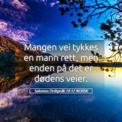 Picture 05 - Salomos Ordspråk 14:12 NORSK - Mangen vei tykkes en mann rett, men enden på det - Bible Verse Picture