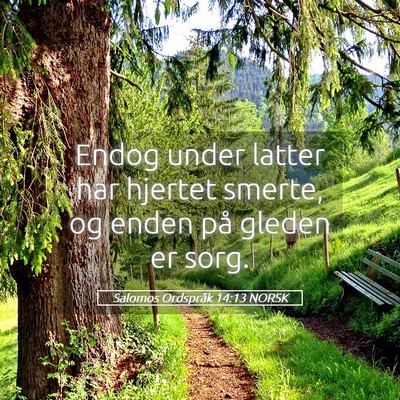 Picture 05 - Salomos Ordspråk 14:13 NORSK - Endog under latter har hjertet smerte, og enden - Bible Verse Picture