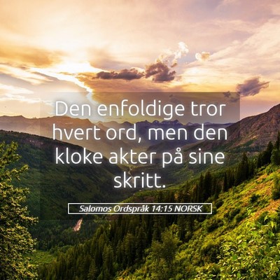 Picture 05 - Salomos Ordspråk 14:15 NORSK - Den enfoldige tror hvert ord, men den kloke akter - Bible Verse Picture